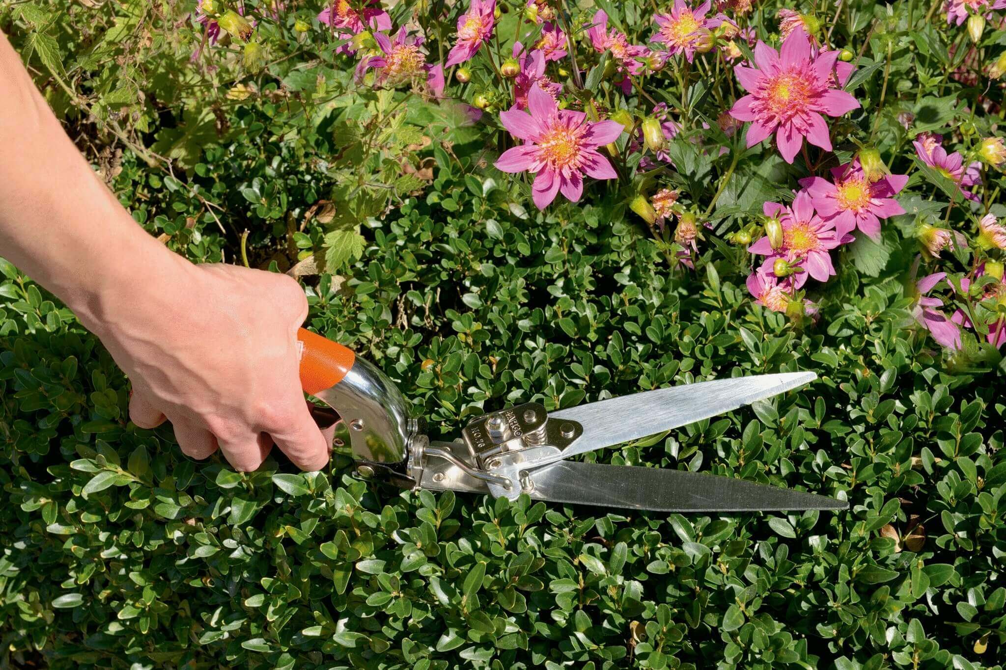 3-Positions Grass Shears