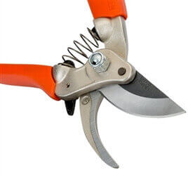Bypass Secateurs