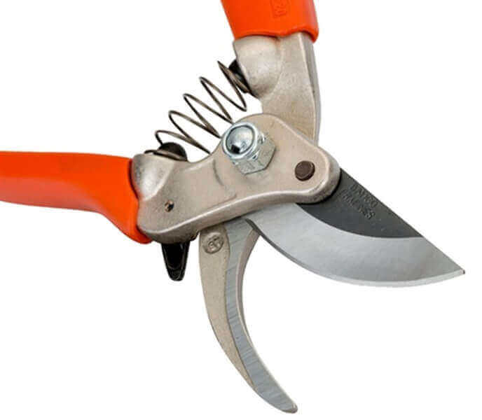 Bypass Secateurs
