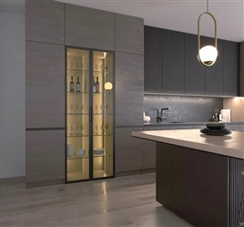 New Darwin- Single door leaf pivot sliding system