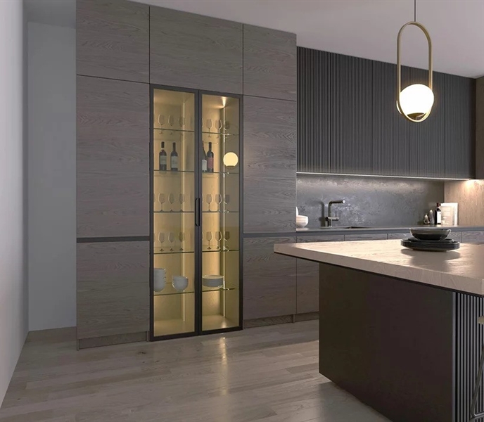 New Darwin- Single door leaf pivot sliding system