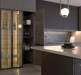 New Darwin- Single door leaf pivot sliding system
