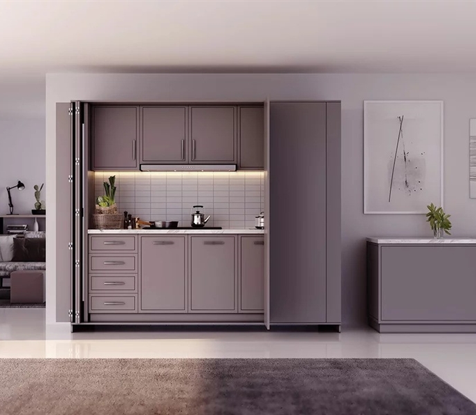 New Darwin- Double door leaf pivot sliding system
