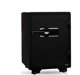 Finger Print Safe 60cm